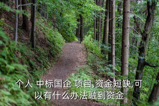 有中標(biāo)項目怎么貸款,中標(biāo) 國開行 項目貸款 中標(biāo)