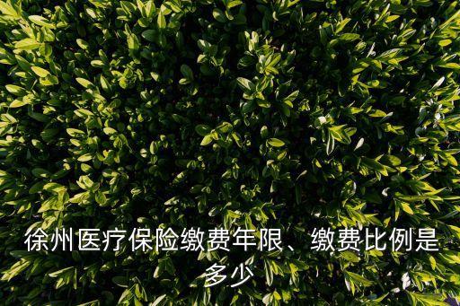  徐州醫(yī)療保險(xiǎn)繳費(fèi)年限、繳費(fèi)比例是多少
