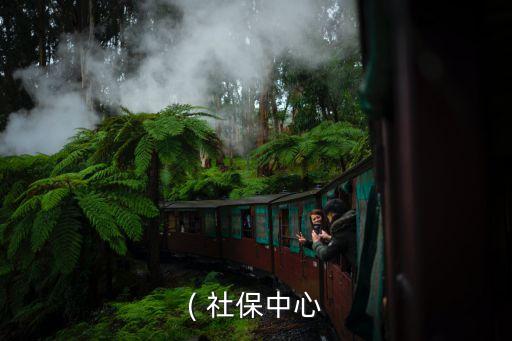 上海社保局電話,社保24小時(shí)咨詢電話