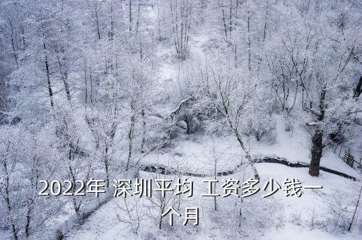 2022年 深圳平均 工資多少錢(qián)一個(gè)月