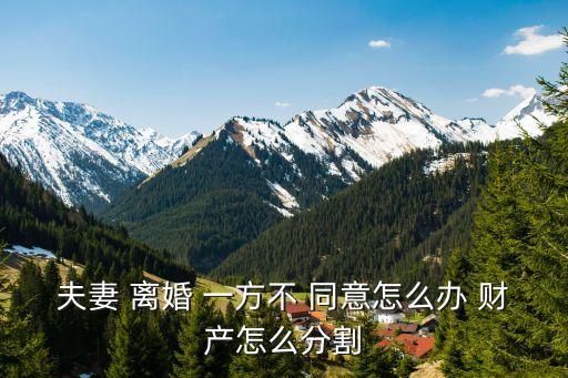 夫妻 離婚 一方不 同意怎么辦 財產怎么分割