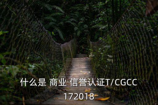 什么是 商業(yè) 信譽認(rèn)證T/CGCC172018