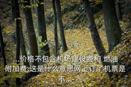 ...價格不包含機場建設(shè)費和 燃油附加費,這是什么意思網(wǎng)上訂了機票是不...