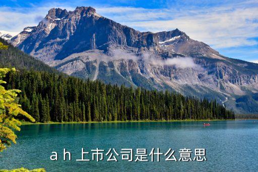 兩地上市,為什么可以兩地上市