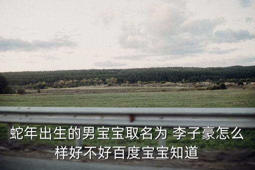 李子豪