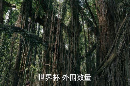 世界杯 外圍數(shù)量