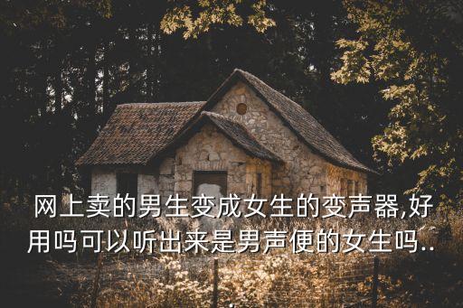 網(wǎng)上調(diào)教