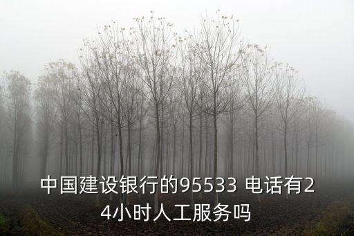 中國建設(shè)銀行的95533 電話有24小時(shí)人工服務(wù)嗎