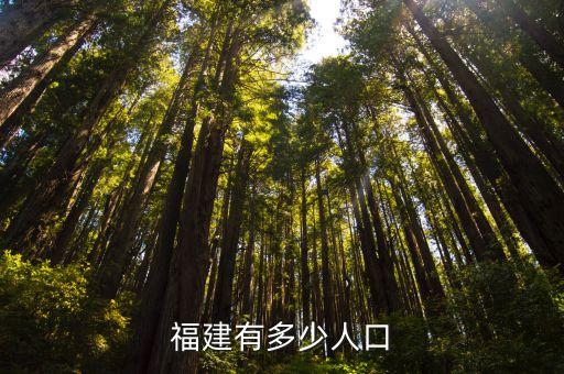 福建有多少人口