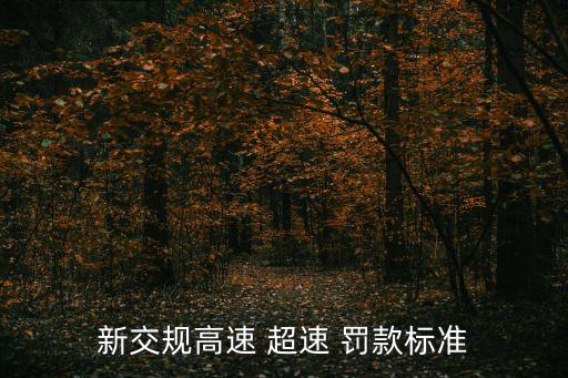 新交規(guī)高速 超速 罰款標(biāo)準(zhǔn)