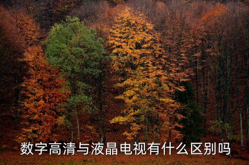數(shù)字調(diào)諧器