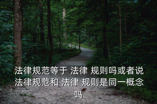  法律規(guī)范等于 法律 規(guī)則嗎或者說 法律規(guī)范和 法律 規(guī)則是同一概念嗎