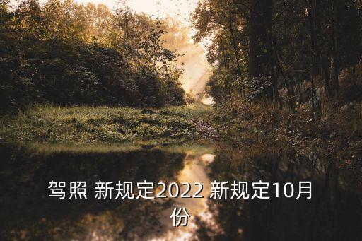 駕照 新規(guī)定2022 新規(guī)定10月份