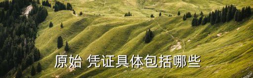  原始 憑證具體包括哪些
