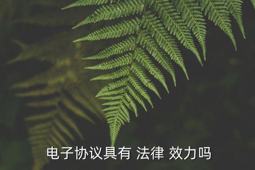  電子協(xié)議具有 法律 效力嗎