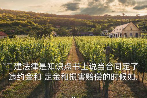 定金違約金二選一,一時(shí)沖動(dòng)交了定金還能退回嗎