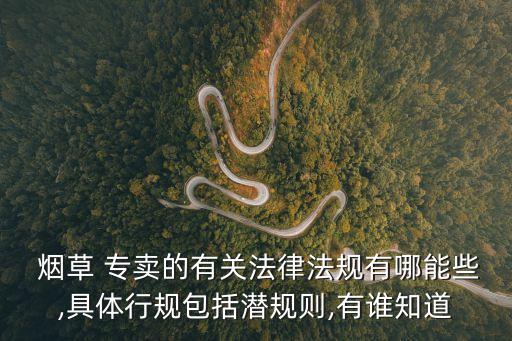 煙草專賣品準(zhǔn)運(yùn)證管理辦法