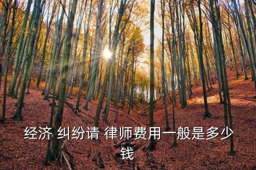  經(jīng)濟 糾紛請 律師費用一般是多少錢