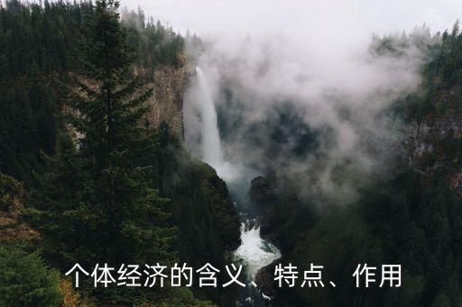  個體經濟的含義、特點、作用