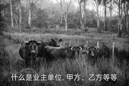 甲方