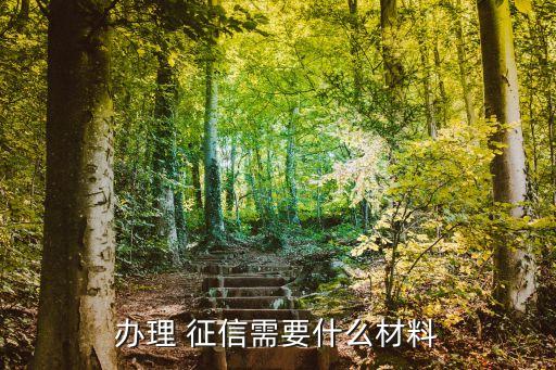 打征信報告需要帶什么,人民銀行打征信報告需要帶什么
