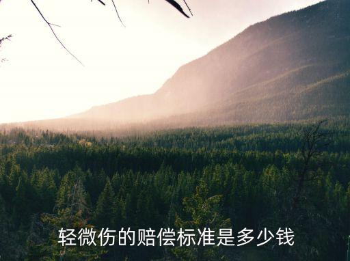 輕微傷一般多少錢私了,2022年輕微傷一般多少錢私了