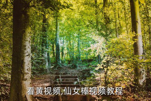 免費(fèi)看黃視頻,仙女棒視頻教程