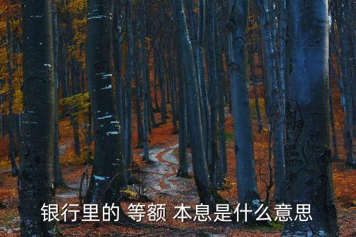什么叫等額本息,房貸什么叫等額本金什么叫等額本息