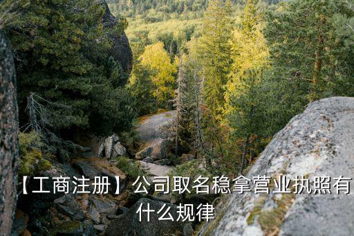 名稱禁限用規(guī)則,工商總局企業(yè)名稱禁限用規(guī)則