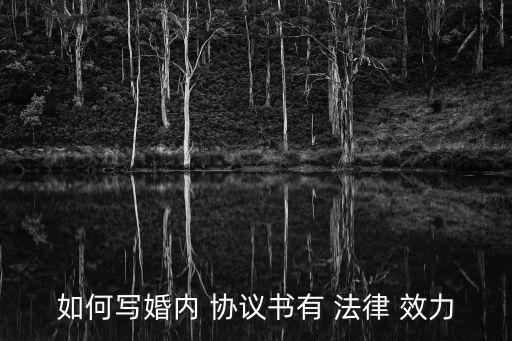 如何寫婚內(nèi) 協(xié)議書(shū)有 法律 效力