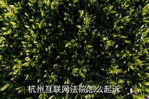 第六巡回法庭,最高人民法院第六巡回法庭