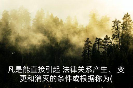 凡是能直接引起 法律關(guān)系產(chǎn)生、 變更和消滅的條件或根據(jù)稱為(