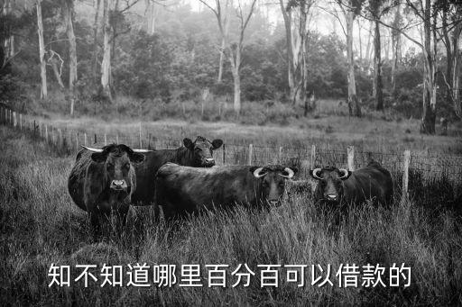知不知道哪里百分百可以借款的