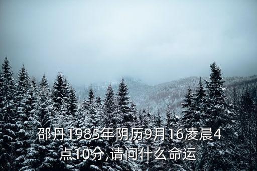  邵丹1985年陰歷9月16凌晨4點10分,請問什么命運