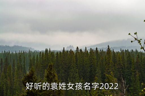 好聽的袁姓女孩名字2022