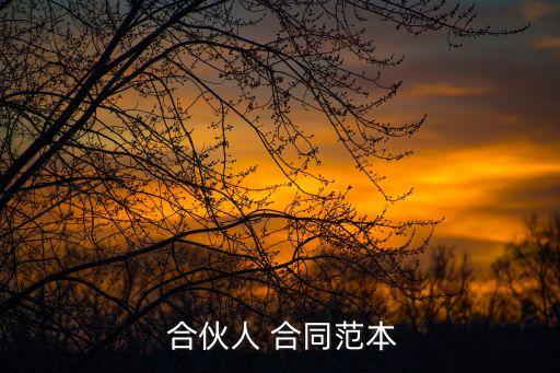  合伙人 合同范本