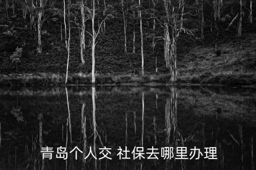  青島個人交 社保去哪里辦理