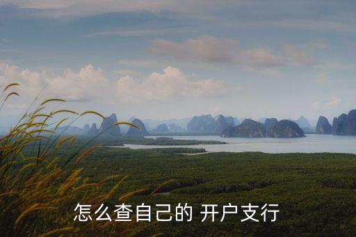 怎么查自己的 開戶支行