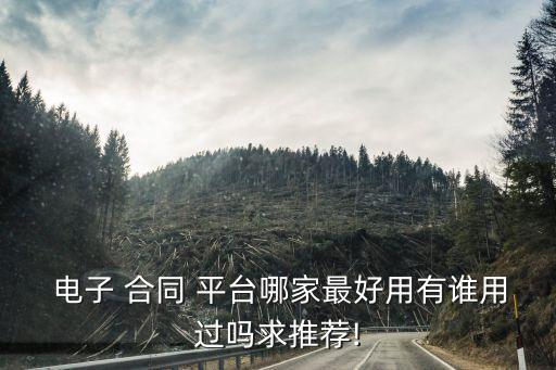  電子 合同 平臺(tái)哪家最好用有誰用過嗎求推薦!