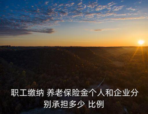  職工繳納 養(yǎng)老保險(xiǎn)金個(gè)人和企業(yè)分別承擔(dān)多少 比例