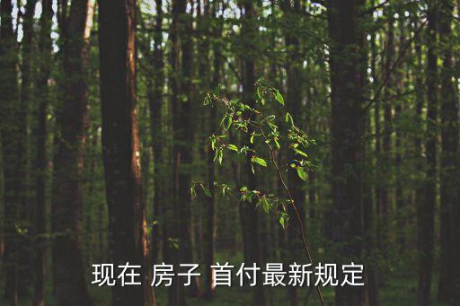 房子首付