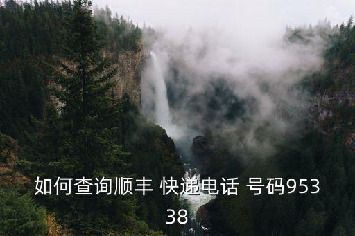 如何查詢順豐 快遞電話 號碼95338