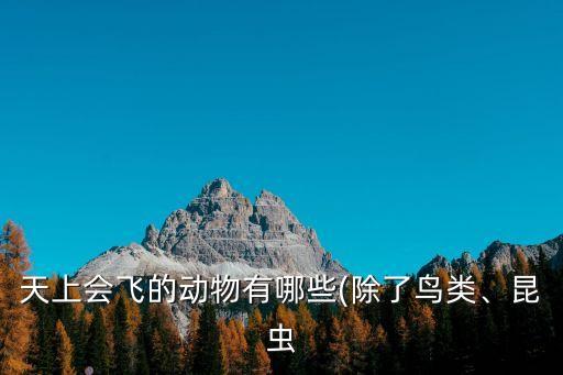 天上會飛的動物有哪些(除了鳥類、昆蟲