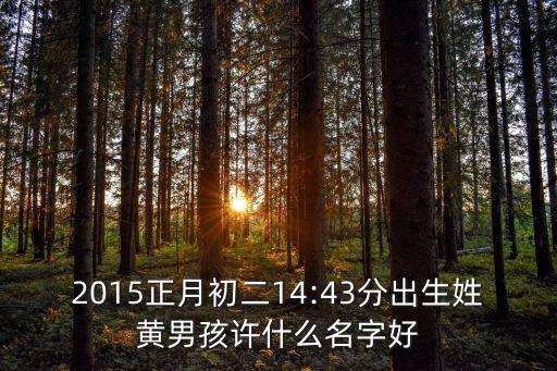 2015正月初二14:43分出生姓黃男孩許什么名字好