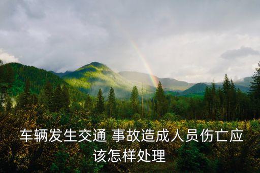  車輛發(fā)生交通 事故造成人員傷亡應(yīng)該怎樣處理