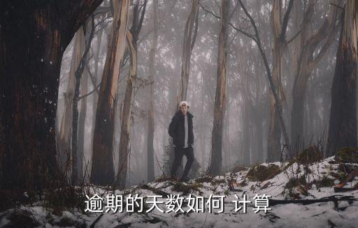 逾期的天數(shù)如何 計(jì)算