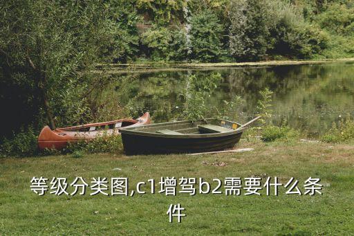 駕照等級(jí)分類圖,c1增駕b2需要什么條件