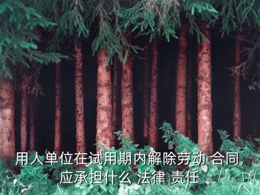 用人單位在試用期內(nèi)解除勞動(dòng) 合同,應(yīng)承擔(dān)什么 法律 責(zé)任
