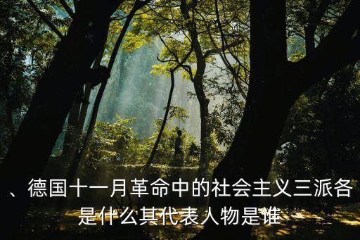 、德國(guó)十一月革命中的社會(huì)主義三派各是什么其代表人物是誰