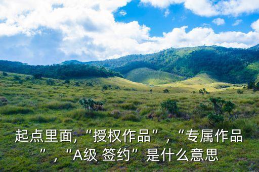 a級簽約,A級簽約作品:從倒?fàn)數(shù)缴虡I(yè)霸主免費(fèi)